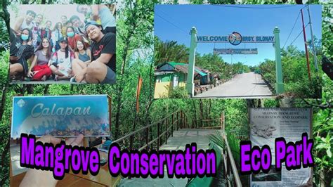 silonay calapan city|Silonay, Calapan, Oriental Mindoro Profile – PhilAtlas.